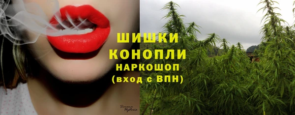 дурь Бронницы