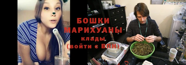 дурь Бронницы