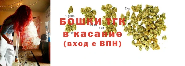 твердый Протвино