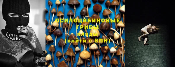 эйфоретик Верея
