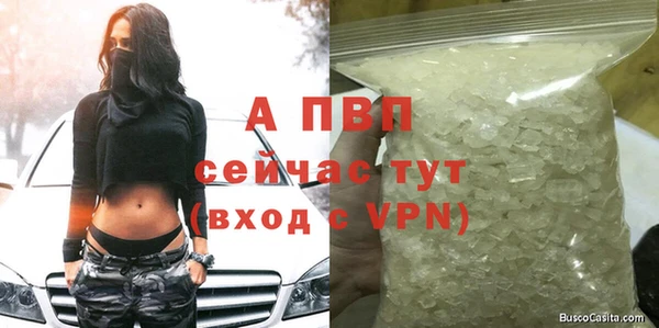МДПВ Бородино