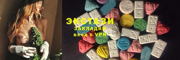 МДПВ Бородино